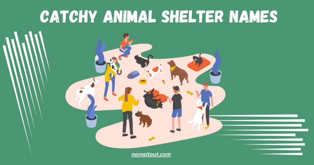 Catchy Animal Shelter Names