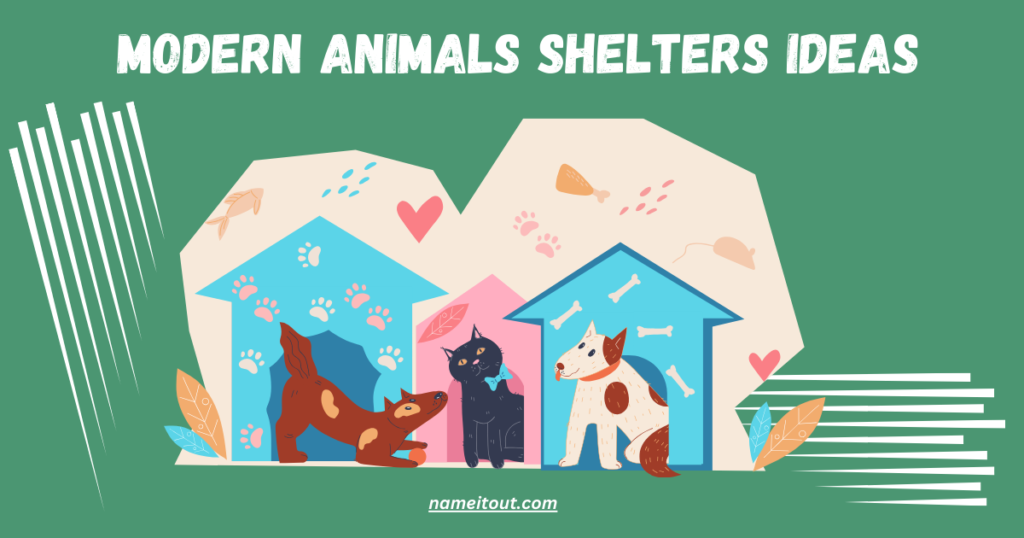 Modern Animals Shelters Ideas