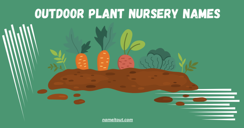 Outdoor Plant Nursery Names