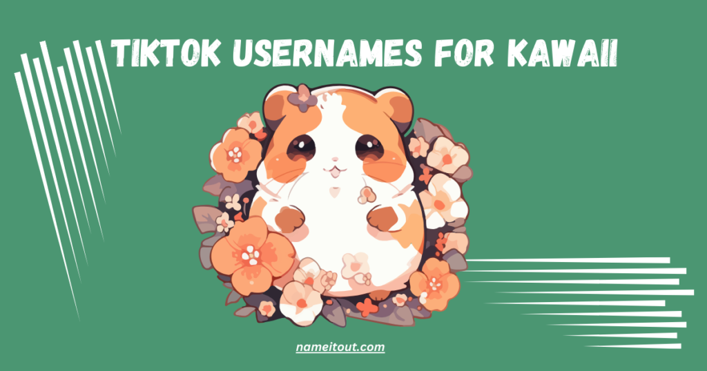 TikTok Usernames for Kawaii
